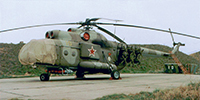 aranysas.hu