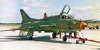 aranysas.hu