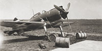 aranysas.hu
