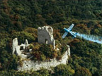 aranysas.hu