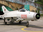 aranysas.hu